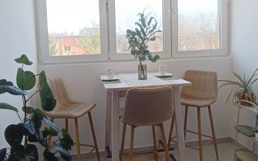 Apartament w Śródmieściu 500 m od F. Neptuna SWPDL