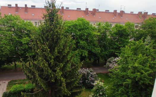 Przestronne mieszkanie 1 pokojowe z dużą kuchnią