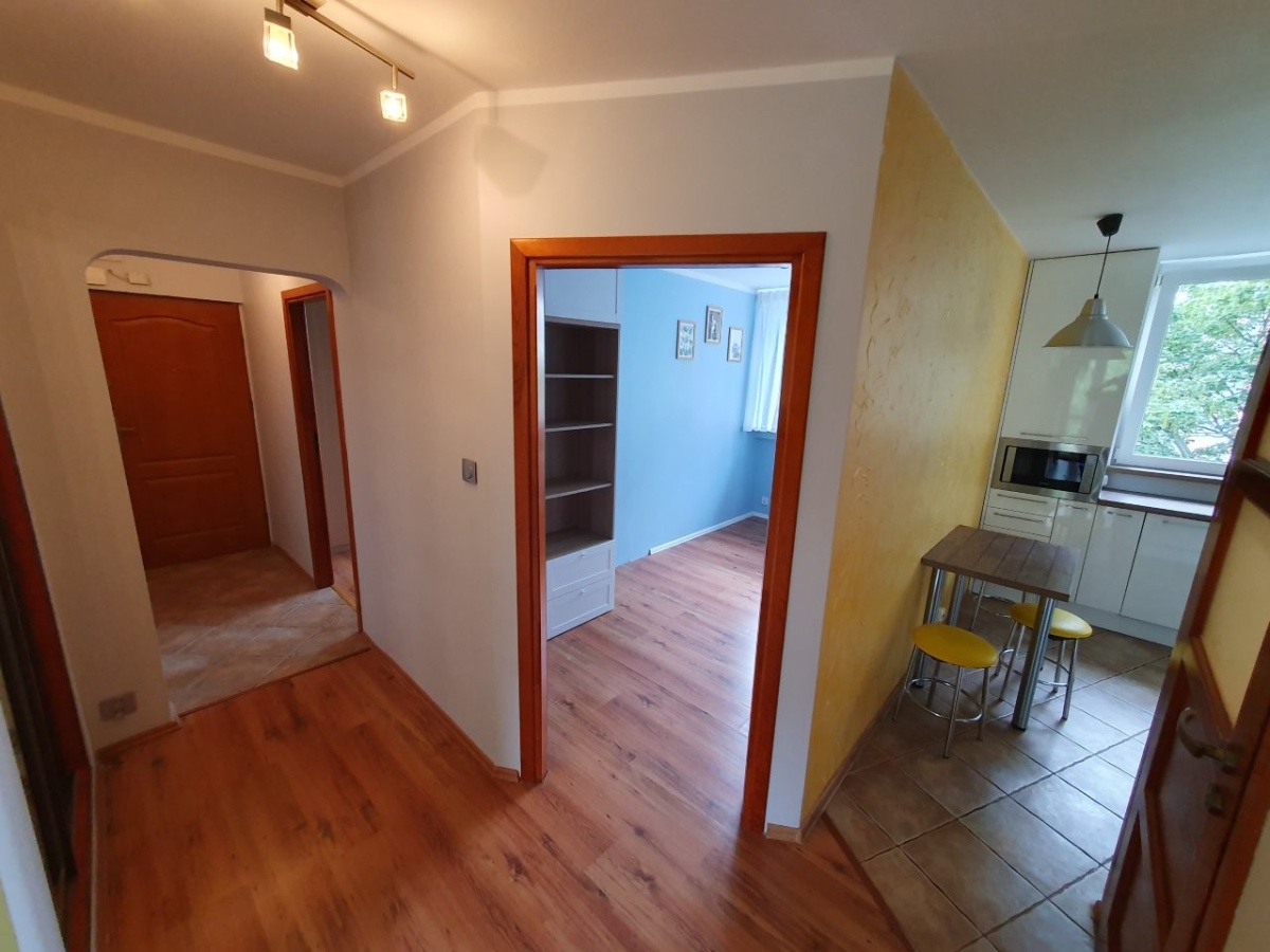 video image
