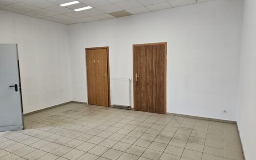 LOKAL HANDLOWO USŁUGOWY