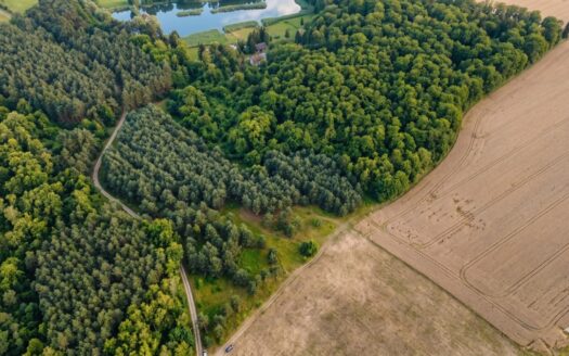 Na sprzedaż działki rekreacyjne w lesie, Wrocław