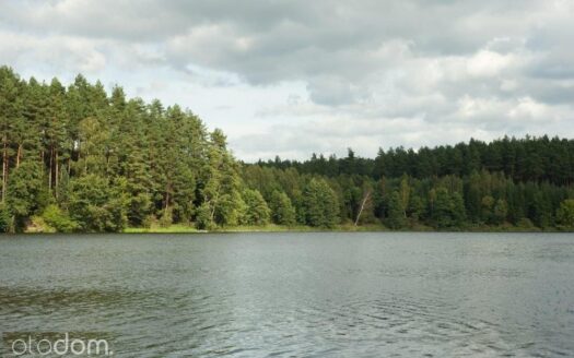Na raty działki w lesie w otoczeniu jezior warmia