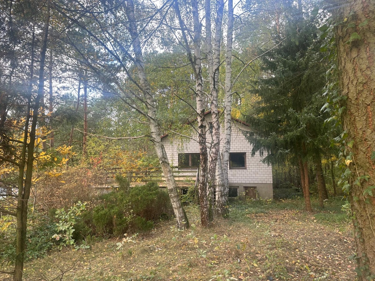 video image