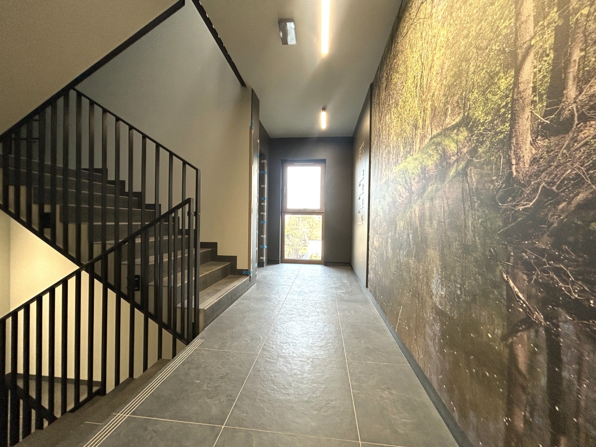 video image