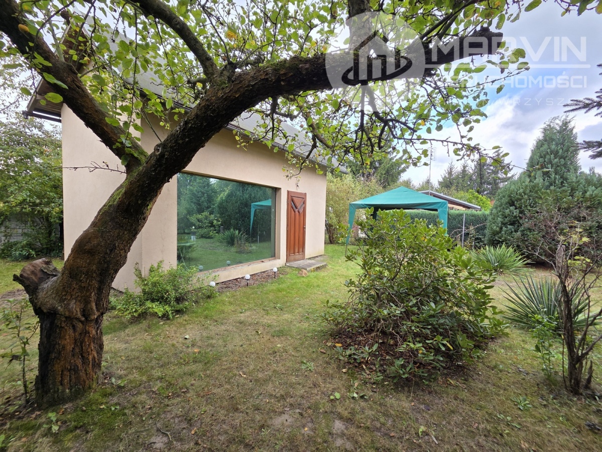 video image