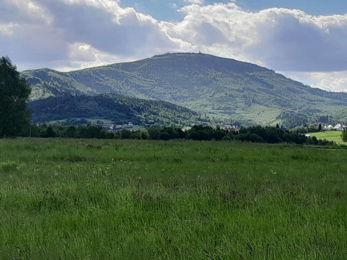 video image