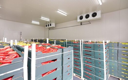 Chłodnia, magazyn 50-200 m² regały, wózek widłowy
