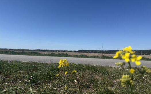 Działki między jeziorem Powidzkim a Kosewskim