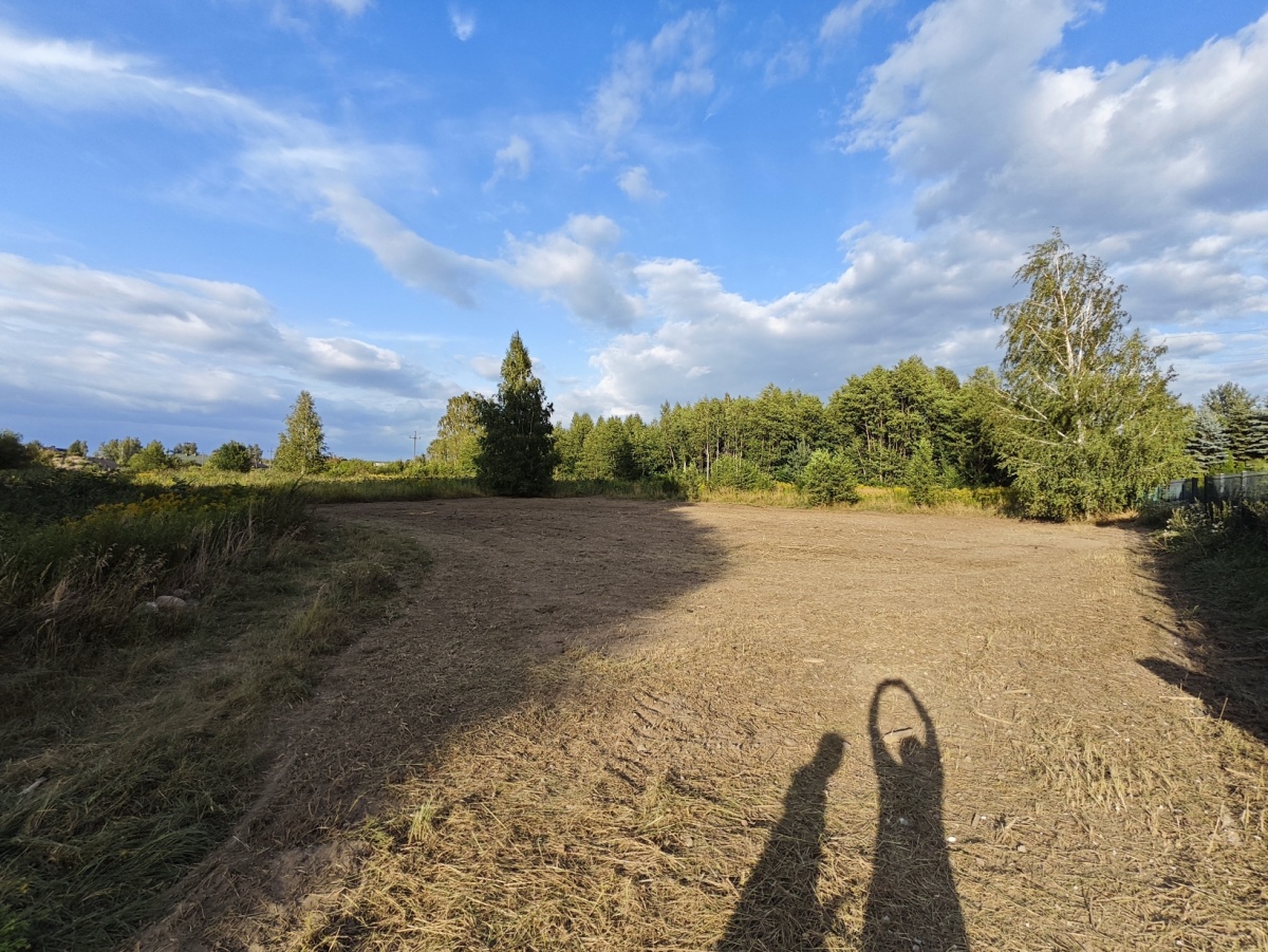 video image