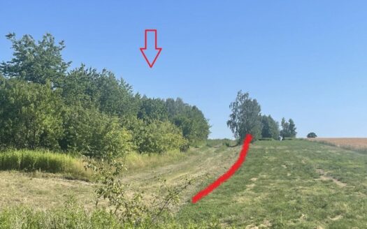 Niwa Działka rolno-budowlana 1,75 ha Puławski