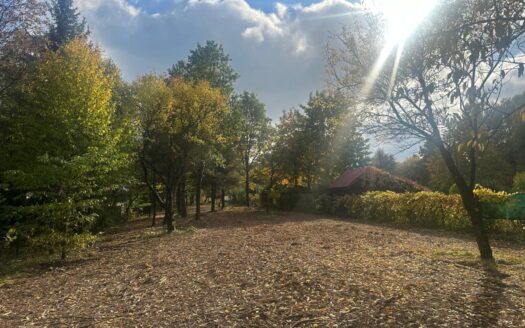 Budowlana nad rzeką Świder 30min z W-wy trasą S17