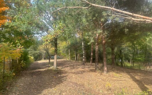 Budowlana nad rzeką Świder 30min z W-wy trasą S17